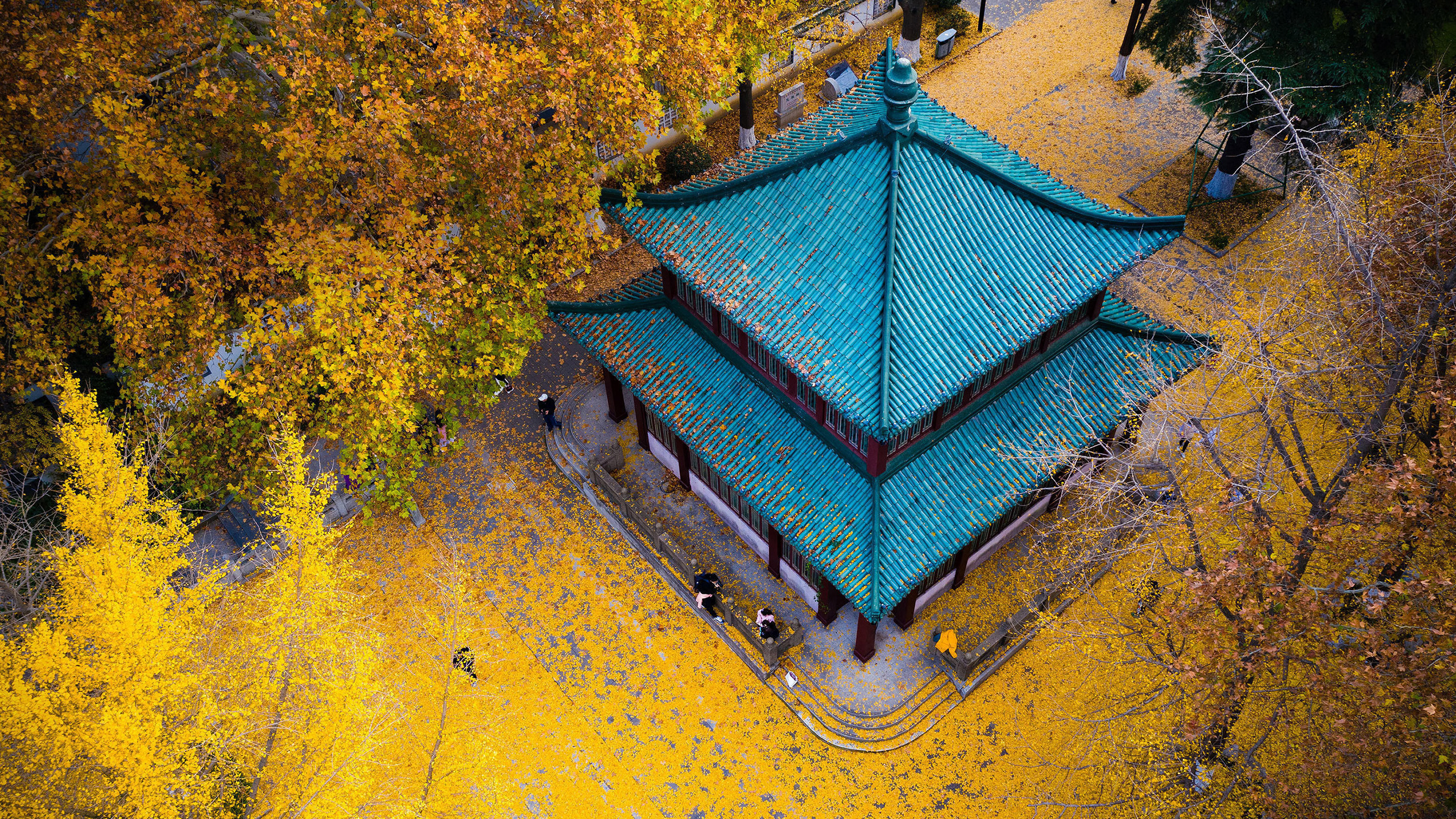 南京玄武湖公园的古建筑