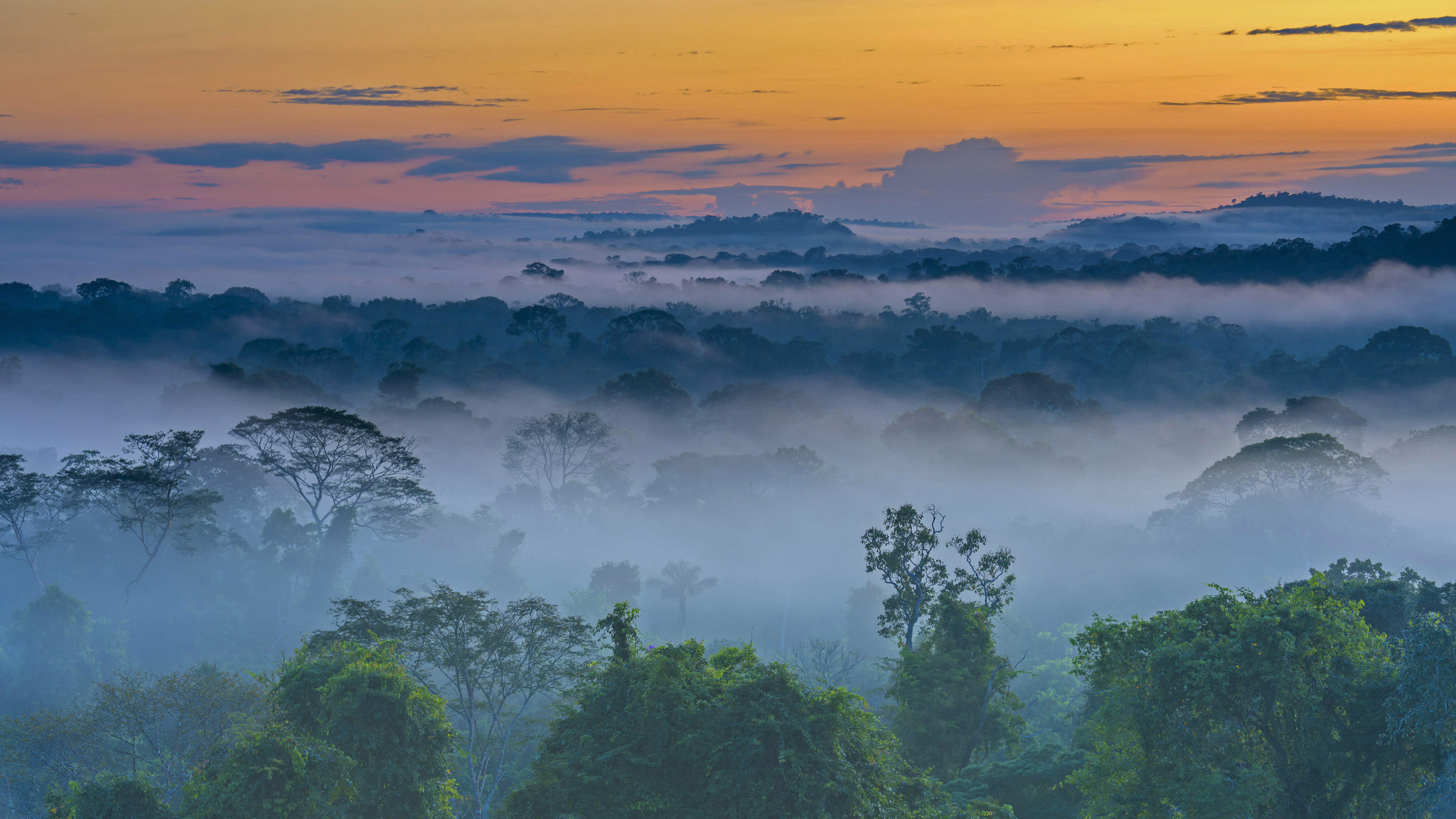 巴西亚马逊雨林