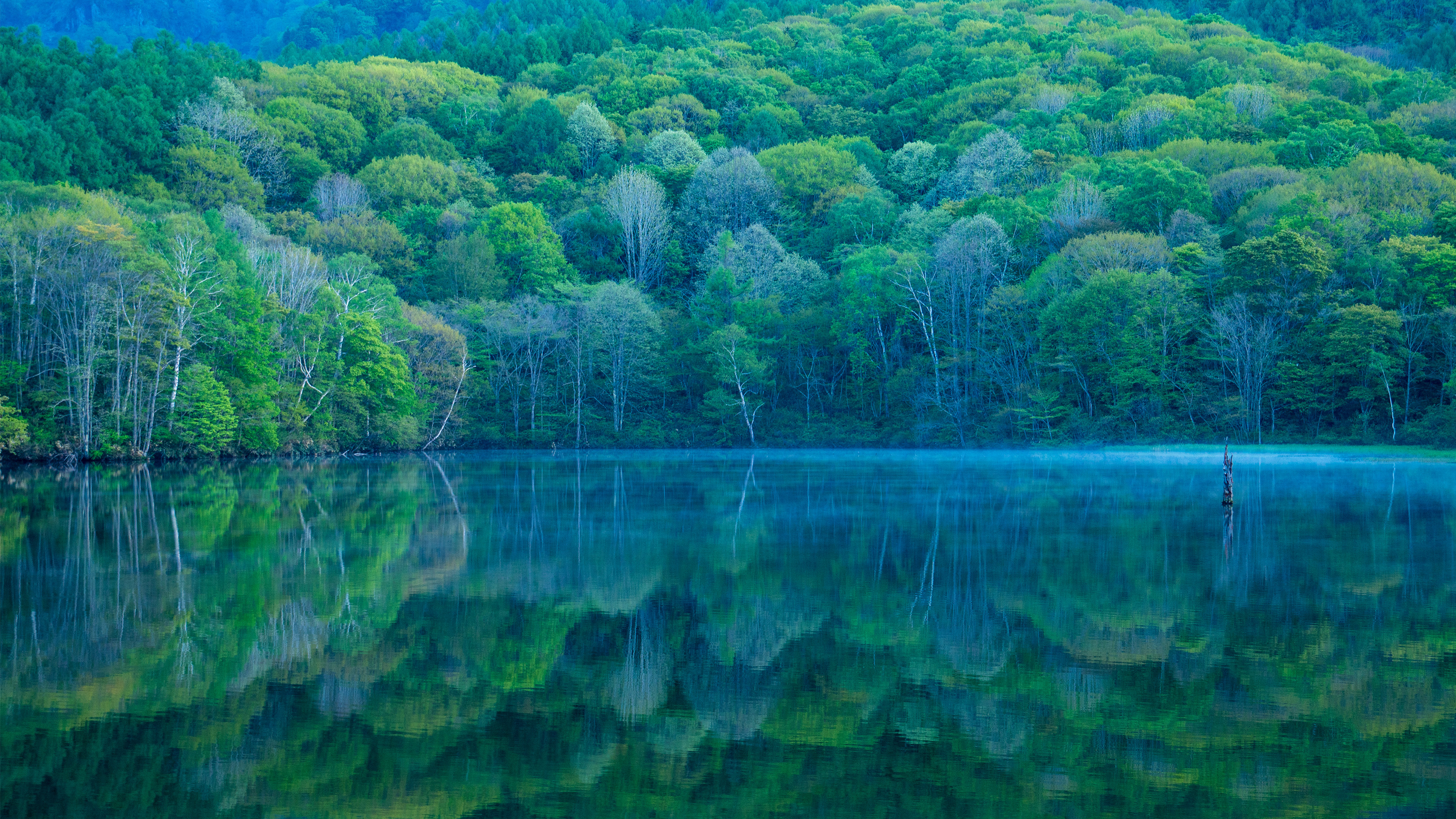 长野镜池唯美风景