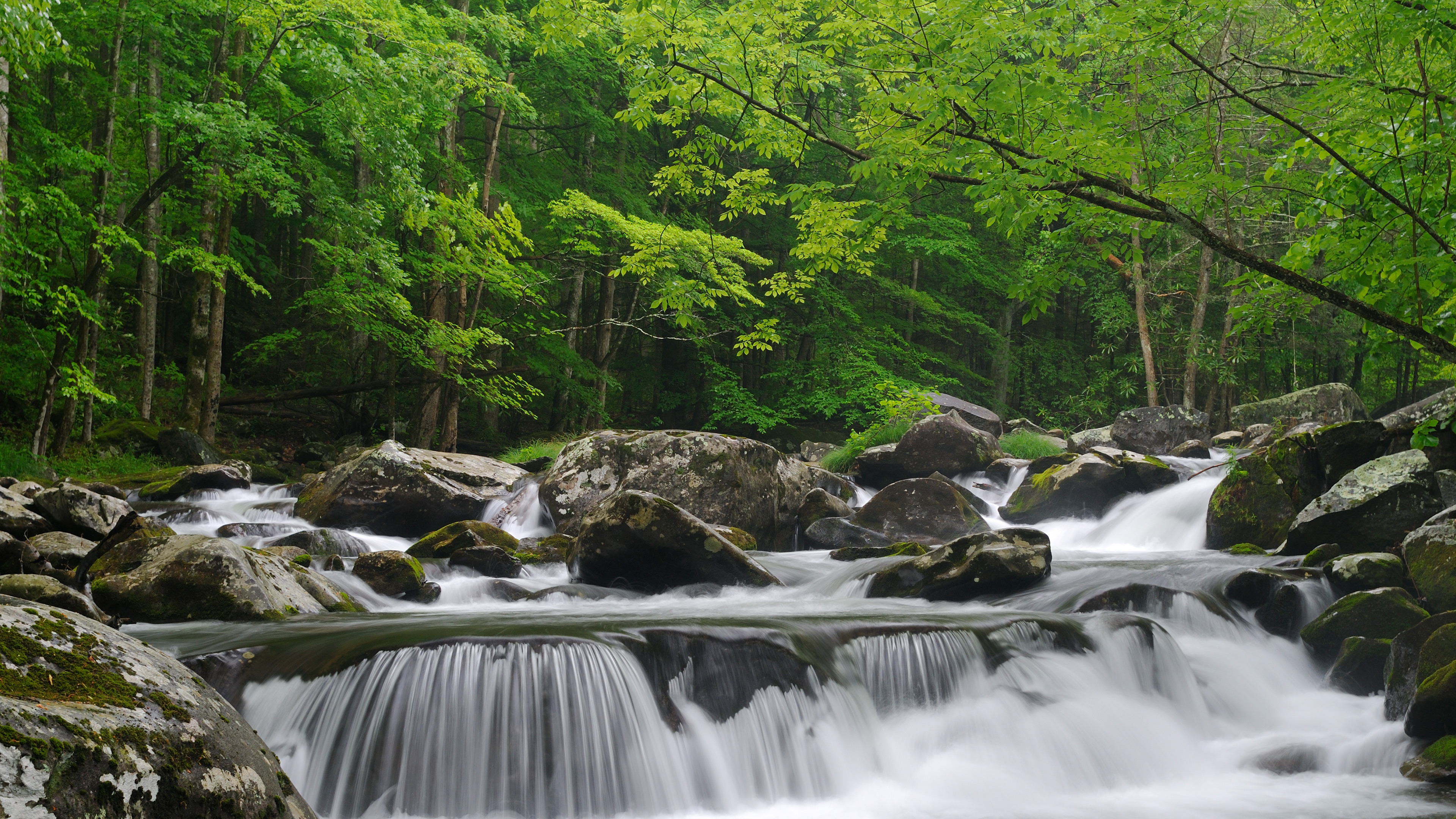 大雾山国家公园小鸽子河