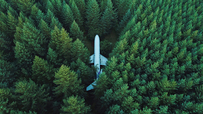 一架停在深林里的飞机