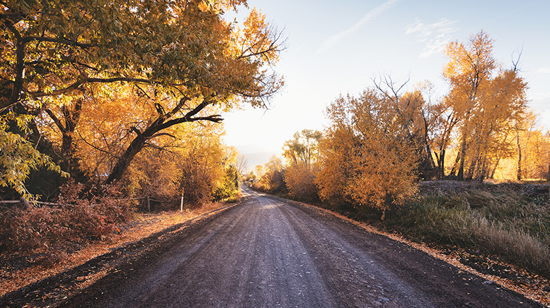 唯美的秋季公路景色
