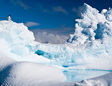 南极洲冰上的企鹅