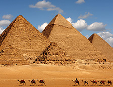 金字塔下的骆驼队
