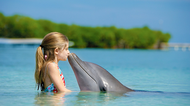 小女孩和海豚