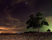 兰塔岛繁星点点的夜空
