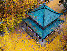 南京玄武湖公园的古建筑