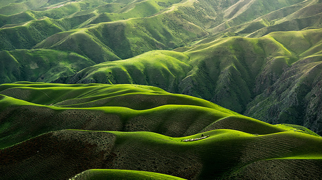 新疆伊犁的人体草地