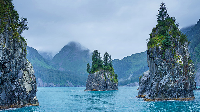 基奈峡湾国家公园的尖顶湾