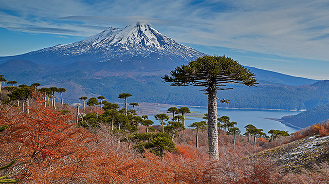 智利亚伊马火山