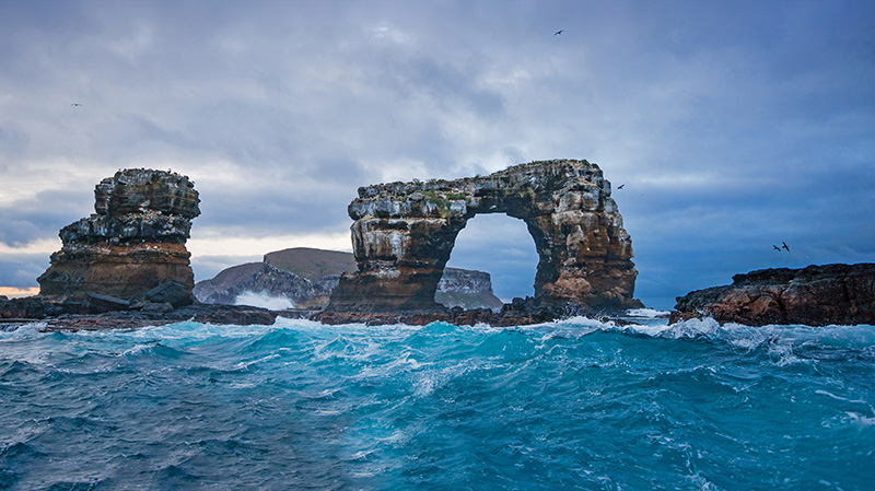 达尔文岛的达尔文拱门