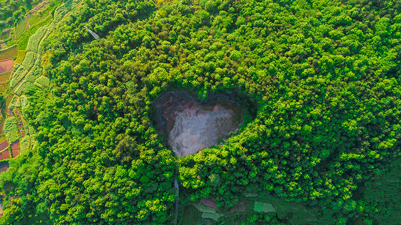 上海浦东森林心形洞穴鸟瞰图