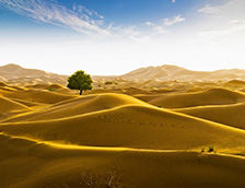 阿曼边界的鲁卜哈利沙漠