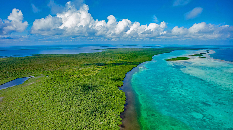 伯利兹堡礁保护区