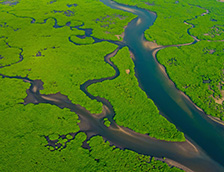 巴西亚马逊河鸟瞰图