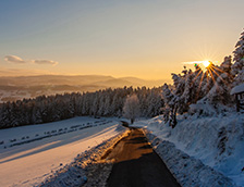晨光下的雪景小路