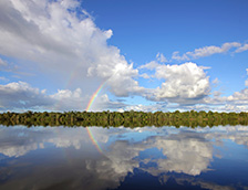 亚马逊河流域内格罗河