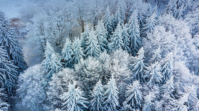 保加利亚博罗韦茨雪景
