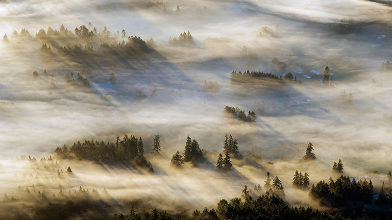 考伊琴山谷的薄雾