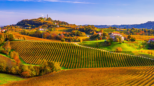 科内利亚诺和瓦尔多比亚德内