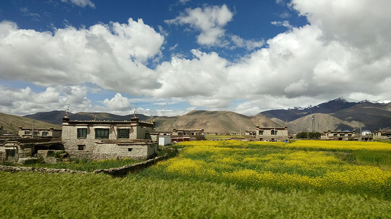 八月帕里的某处村庄