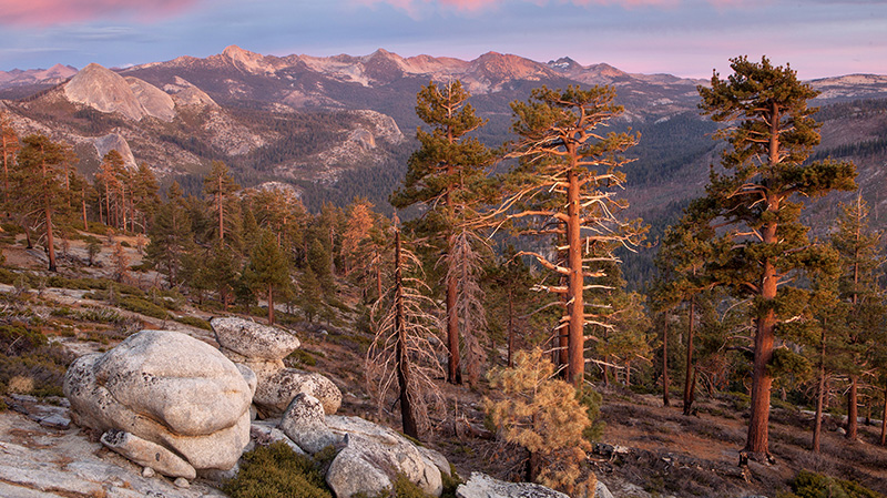 克拉克山脉约塞米蒂国家公园