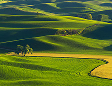 帕卢斯连绵起伏的丘陵