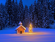 阿尔卑斯山脉的雪中教堂与圣诞树