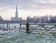 威尔特郡索尔兹伯里大教堂