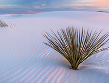 新墨西哥州白沙国家公园