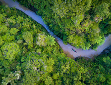 雷塔鲁克旺格努伊国家公园