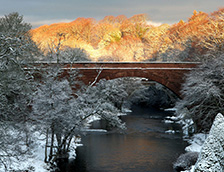 南艾尔郡伯恩斯国家遗产公园