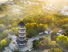 处暑时节的村庄田野与寺庙佛塔