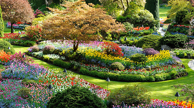 布伦特伍德湾的布查特花园