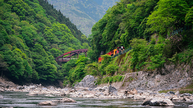 沿着岚山保津川行驶的火车