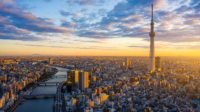 日出时分的城市建筑群
